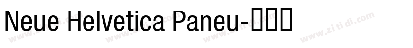 Neue Helvetica Paneu字体转换